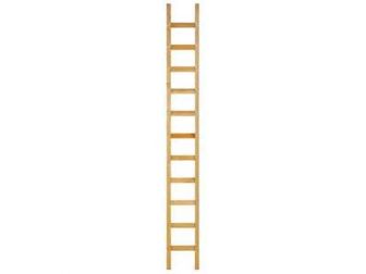 Echelle de toit couvreur 5 m